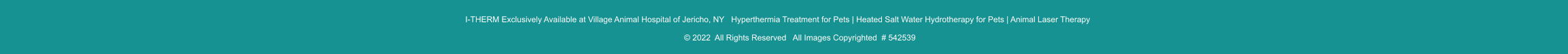 I-THERM Exclusively Available at Village Animal Hospital of Jericho, NY   Hyperthermia Treatment for Pets | Heated Salt Water Hydrotherapy for Pets | Animal Laser Therapy     © 2022  All Rights Reserved   All Images Copyrighted  # 542539