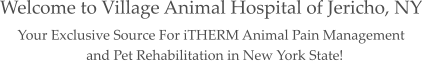 Welcome to Village Animal Hospital of Jericho, NY Your Exclusive Source For iTHERM Animal Pain Management and Pet Rehabilitation in New York State!