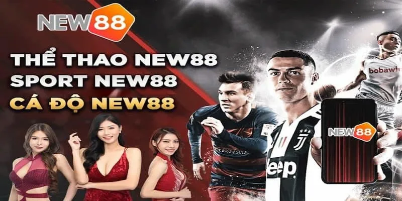 Đánh giá New88: trải nghiệm cá cược bóng đá đỉnh của chóp 1 New88 nha cai the thao cuc chat - Đánh giá New88